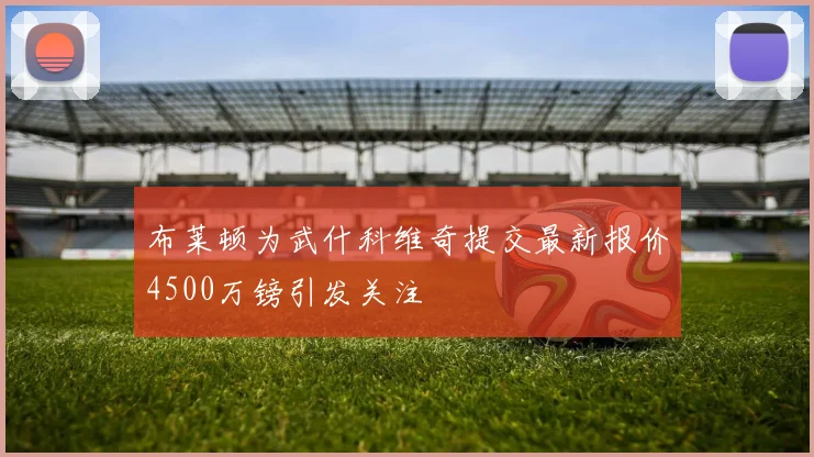 布莱顿为武什科维奇提交最新报价4500万镑引发关注